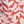 Coral Painted Floral