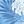 Light Blue Palm