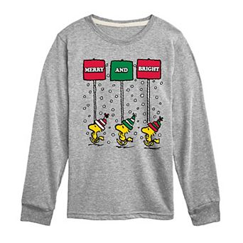 Boys 8-20 Peanuts Merry & Bright Long Sleeve Graphic Tee
