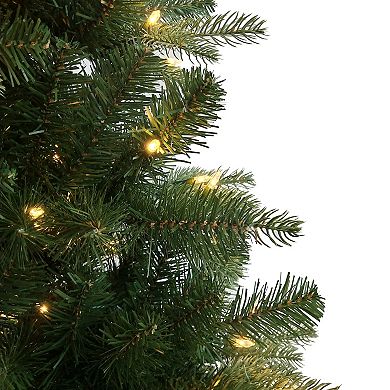 Kurt Adler 7-Foot Pre-Lit LED Studio Spruce Christmas Tree