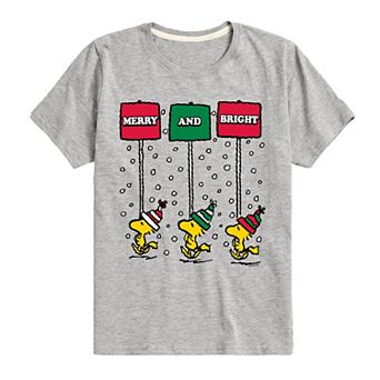 Boys 8-20 Peanuts Merry & Bright Graphic Tee