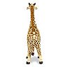 melissa and george giraffe