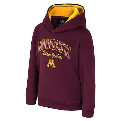 Toddler Colosseum Maroon Minnesota Golden Gophers Centauri Pullover Hoodie