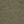 Medium Olive