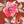 Red Floral