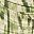 Green Abstrast