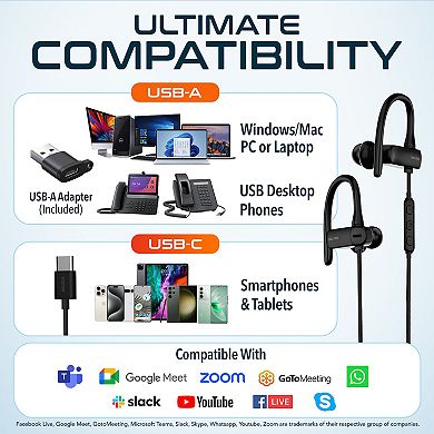 Delton 24ec Usb/usb-c Wired Earbuds With Microphone (DWH24ECA)