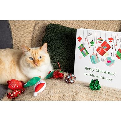 Cat Advent Calendar - 12 Days Of Christmas Filled Cat Toy Gift