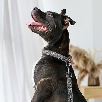 WAUDOG Dog Leash