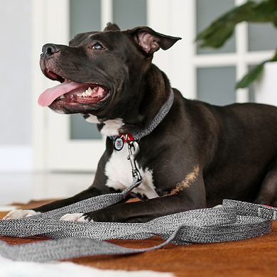 WAUDOG Dog Leash