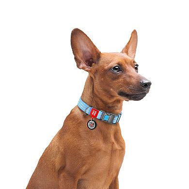 WAUDOG Dog Collar