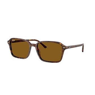 Men's Ray-Ban RB2231 Raimond 58mm Sunglasses