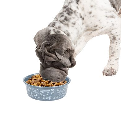 SportPet Doodle Dogs Pet Bowl