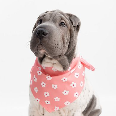 SportPet Pink Floral Print Pet Bandana