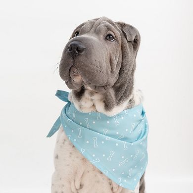 SportPet Blue Bones & Dots Pet Bandana