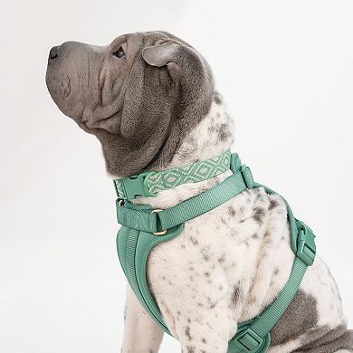 SportPet Green Boho Diamond Print Dog Collar