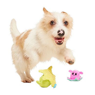 BARK Lil Squirts Pet Toy