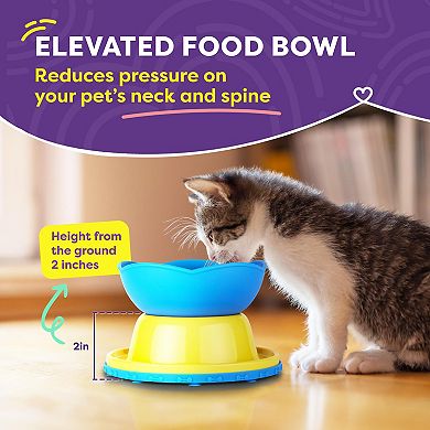 Hertzko Elevated Slow Feeder Bowl For Cats And Small Dogs