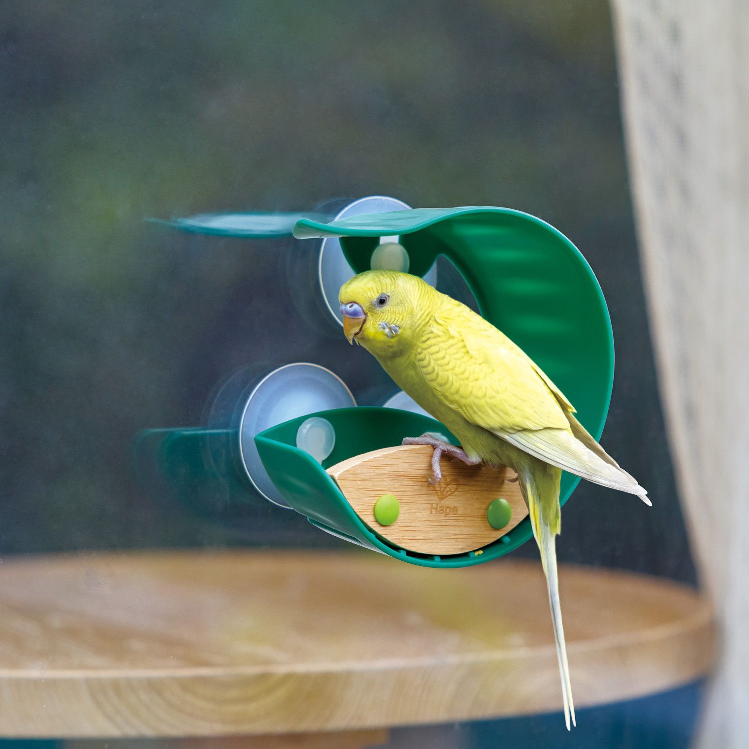 Hape Nature Fun Insektennetz Aus Bambus – Nachhaltiges Entdecker-Spielzeug Für Kinder Ab 4