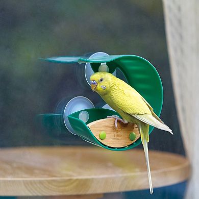 Hape: Nature Fun Window Bird Feeder