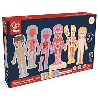 Hape: Human Body Anatomy 68 pc Magnetic Puzzle