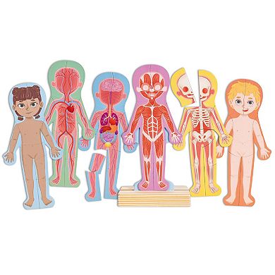 Hape: Human Body Anatomy 68-piece Magnetic Puzzle