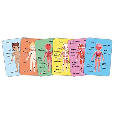 Hape: Human Body Anatomy 68-piece Magnetic Puzzle