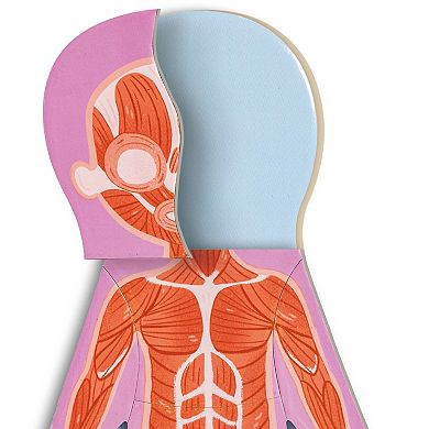 Hape: Human Body Anatomy 68-piece Magnetic Puzzle