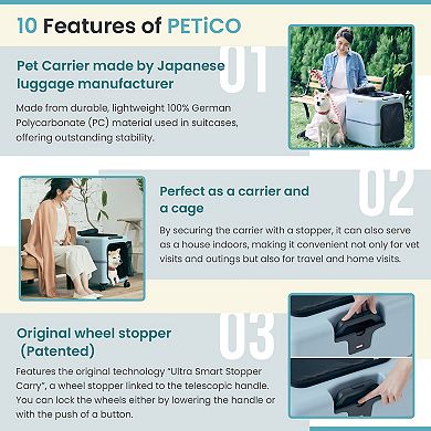 PETiCO iCO Sturdy and Versatile Pet Carrier Lsize