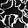 Black Josefina Floral