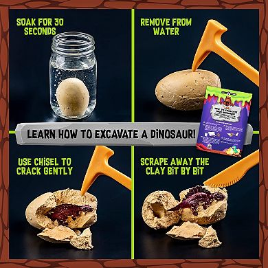 Dinosaur Egg Slime Discovery with 4 Dino Cracking Eggs and 15 Plastic Eggs