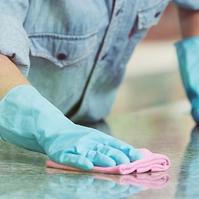 12 Pcs Kitchen Dish Cloths, 8.6" Coral Velvet Dish Towels