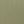 Camel Pea Green