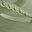 Grass Green