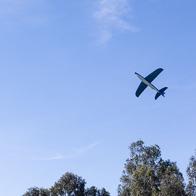 Tiger Tribe: Shark Glider