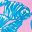 She Sells Seashells