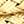 Gold Tone