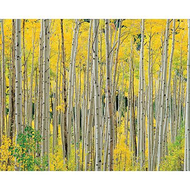 Hart Puzzles Aspens, Aspens, Aspens 1000 Piece Puzzle