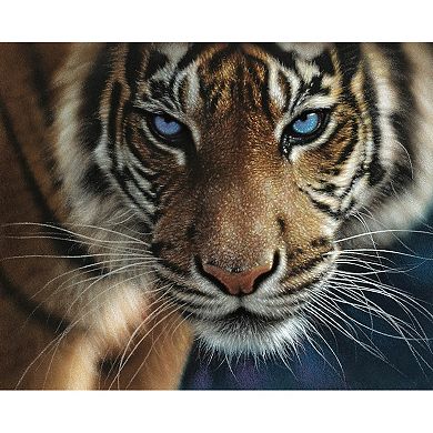 Hart Puzzles Blue Eyes Tiger 1000 Piece Puzzle