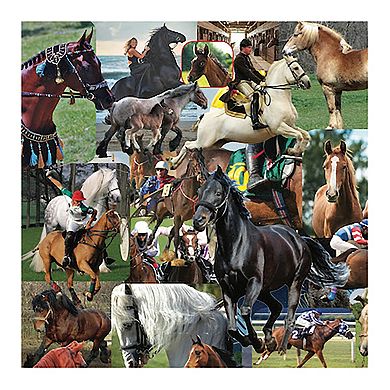 Hart Puzzles Horses, Horses, Horses 1000 Piece Puzzle