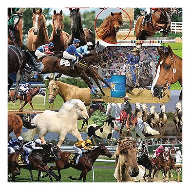 Hart Puzzles Horses, Horses, Horses 1000 Piece Puzzle