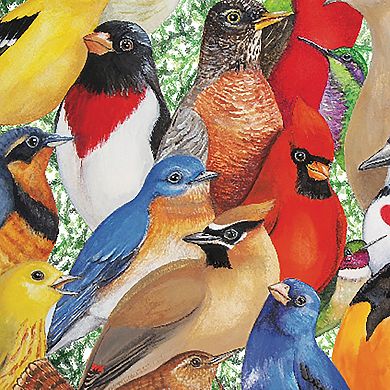Hart Puzzles Birds, Birds, Birds 1000 Piece Puzzle