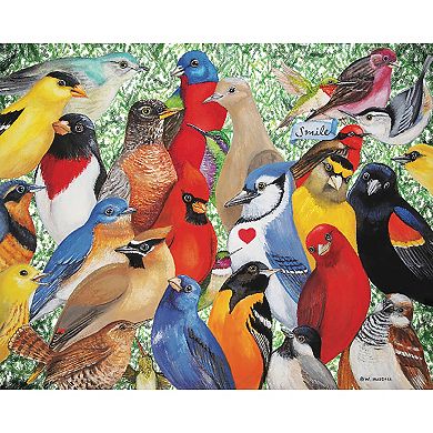 Hart Puzzles Birds, Birds, Birds 1000 Piece Puzzle