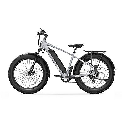 NIU BQi Fat Tire 300 Step-Over Electric Bike