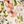 Bone Floral