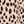 Coffee Black Spots