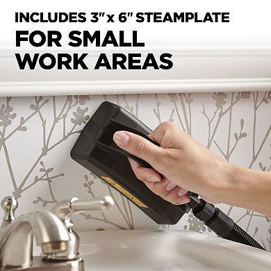725 Wallpaper Steamer