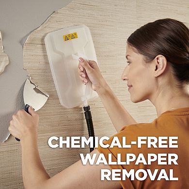 725 Wallpaper Steamer