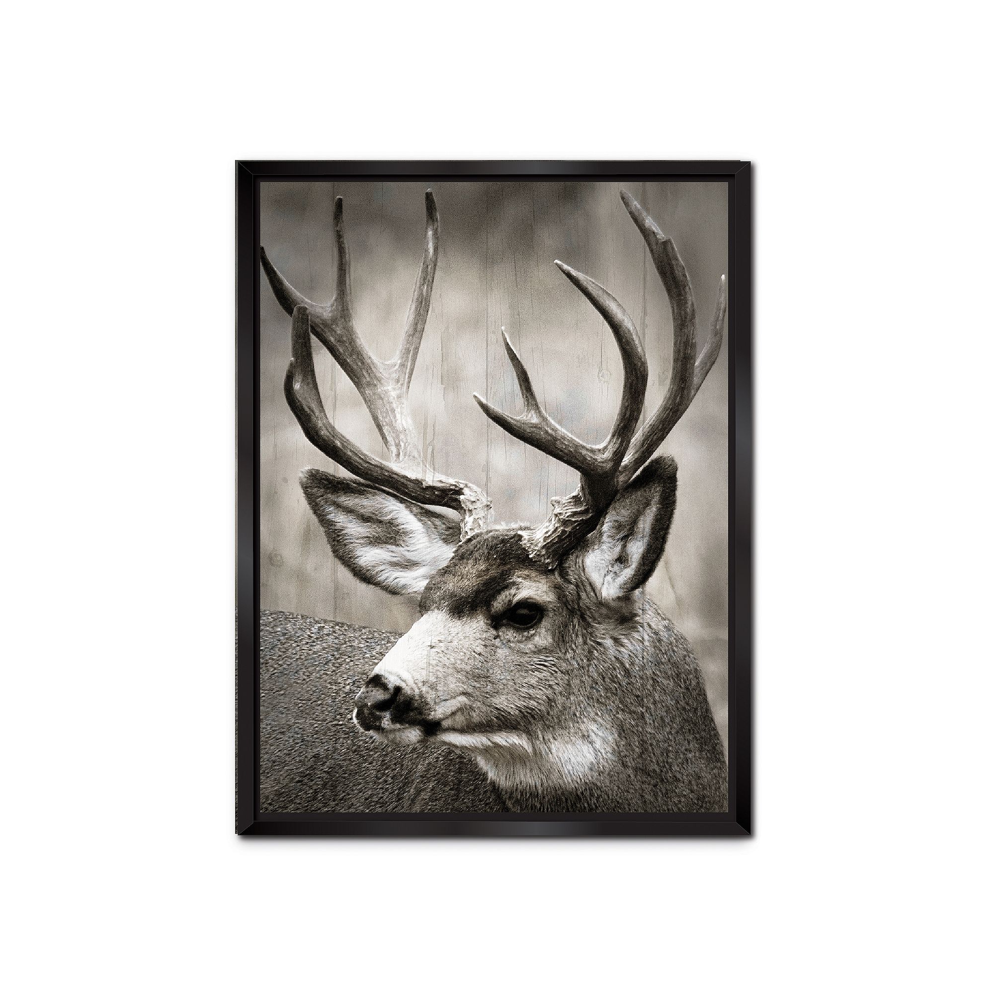 COURTSIDE MARKET Beautiful Buck Framed Canvas Wall Art, Multi Color