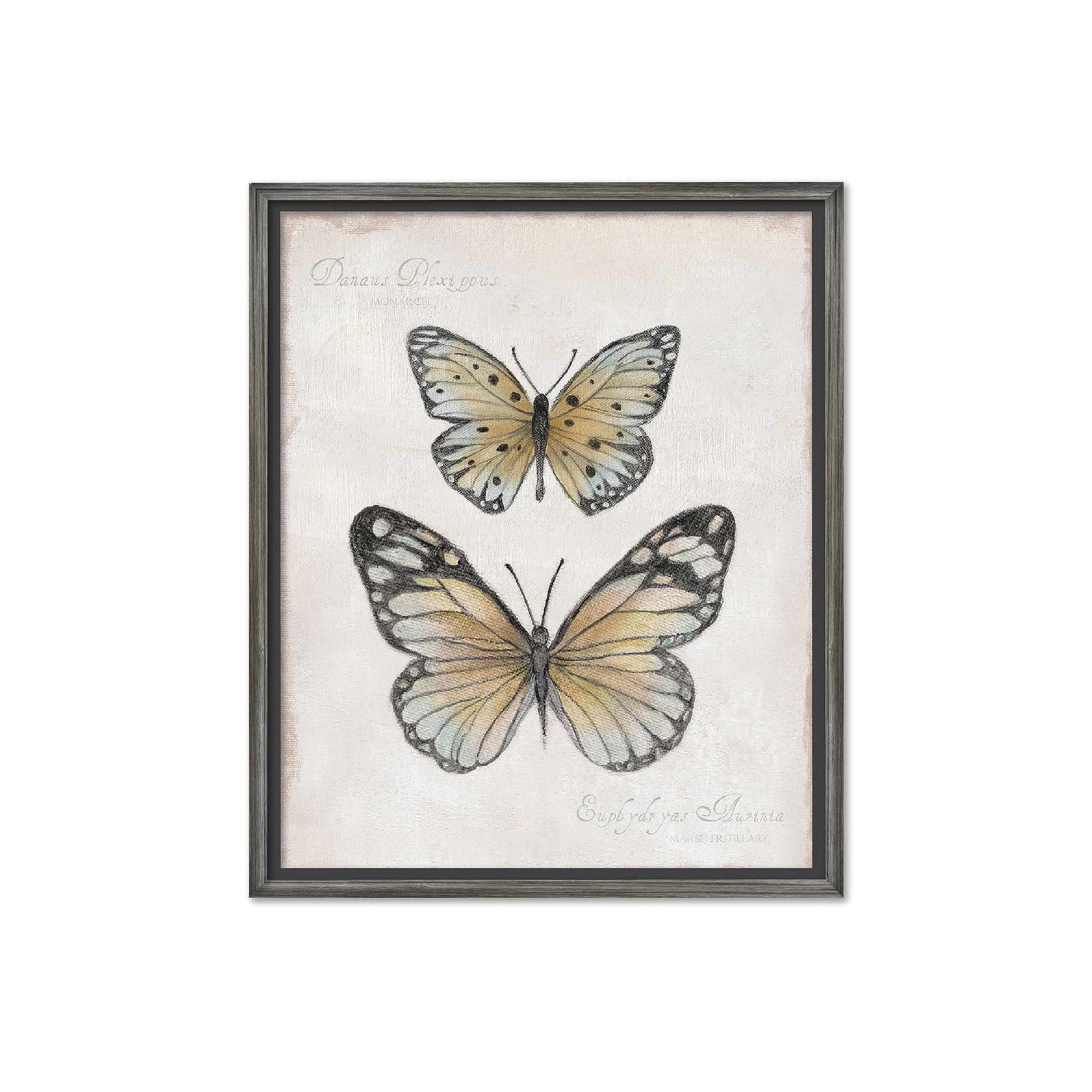 COURTSIDE MARKET Botanical IIV Framed Canvas Wall Art, Multi Color